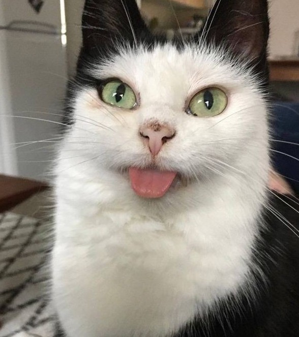 .