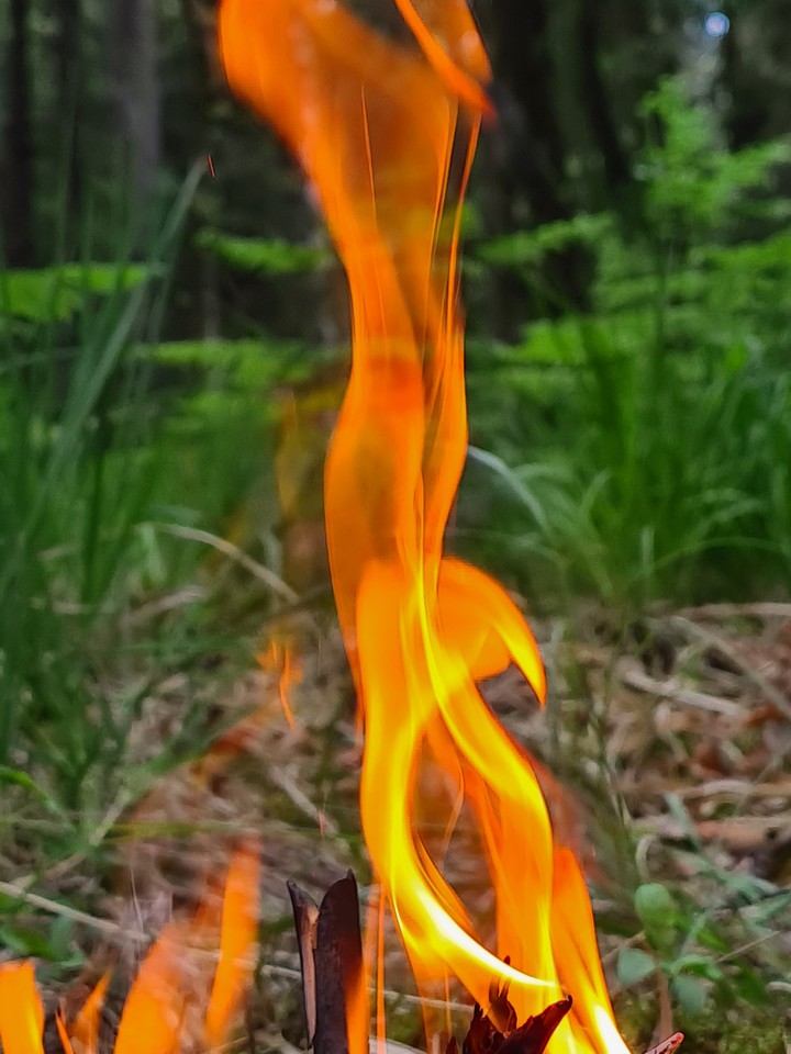 fire