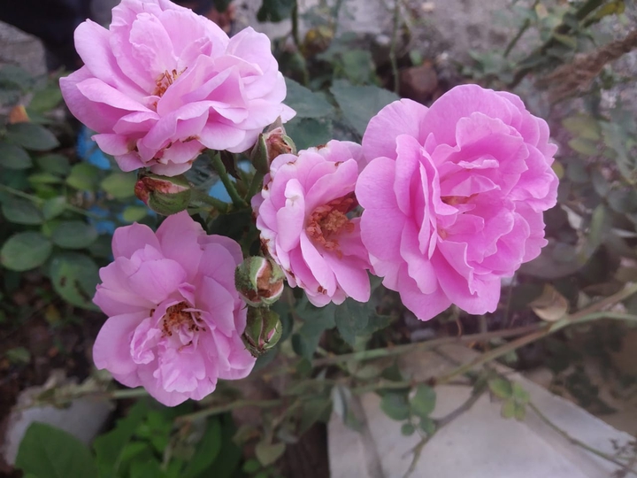 fresh morning ❤️❤️❤️