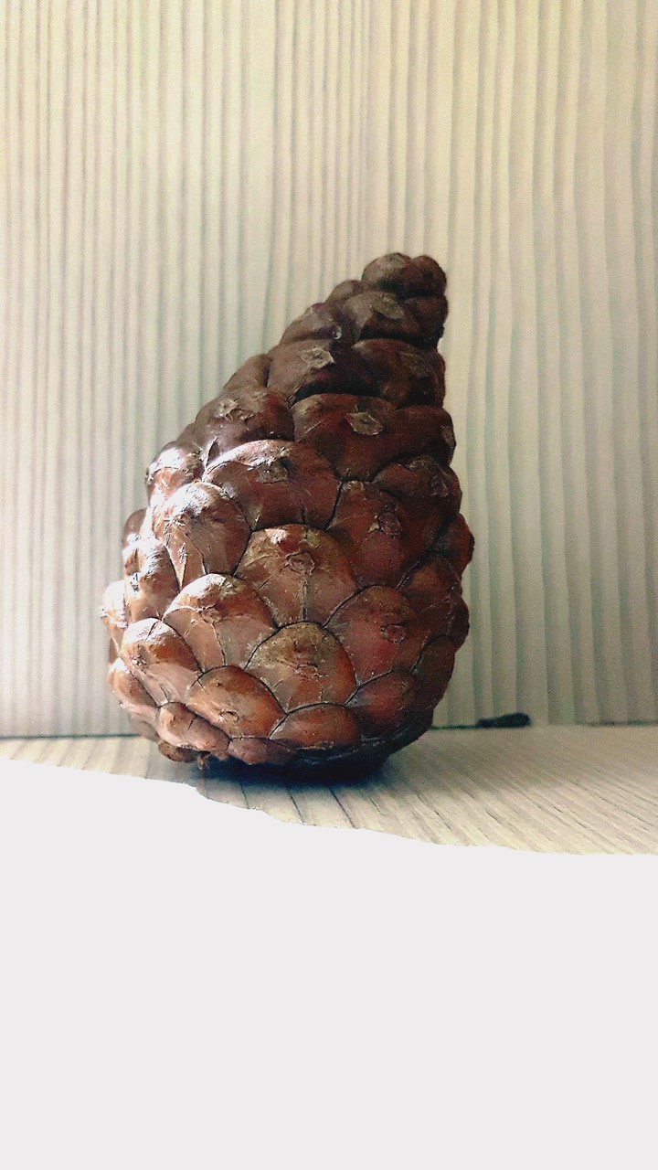 pine in home