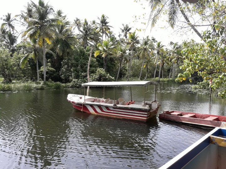 Just a Click at.... ☺️ Poovar Island of Kerala......☺️