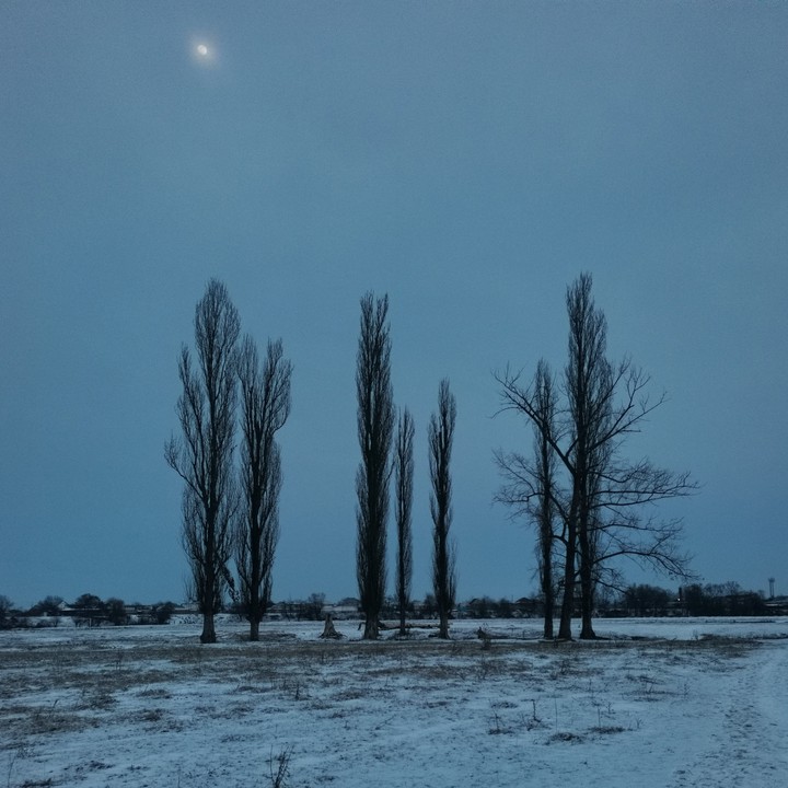 moon and winter