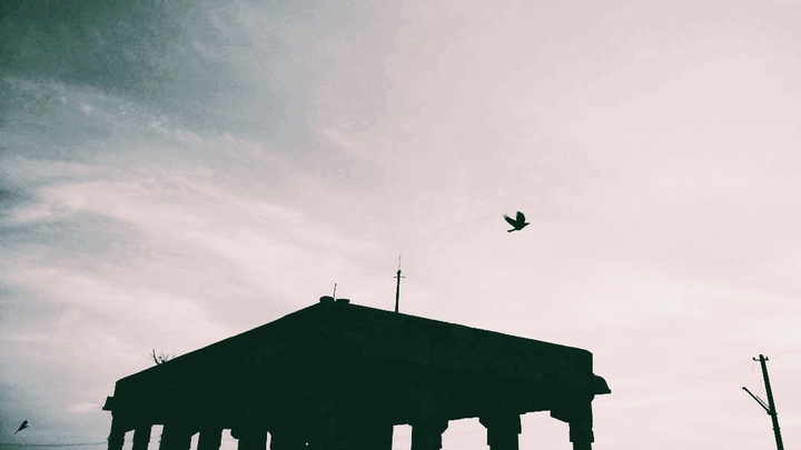 Fly high !