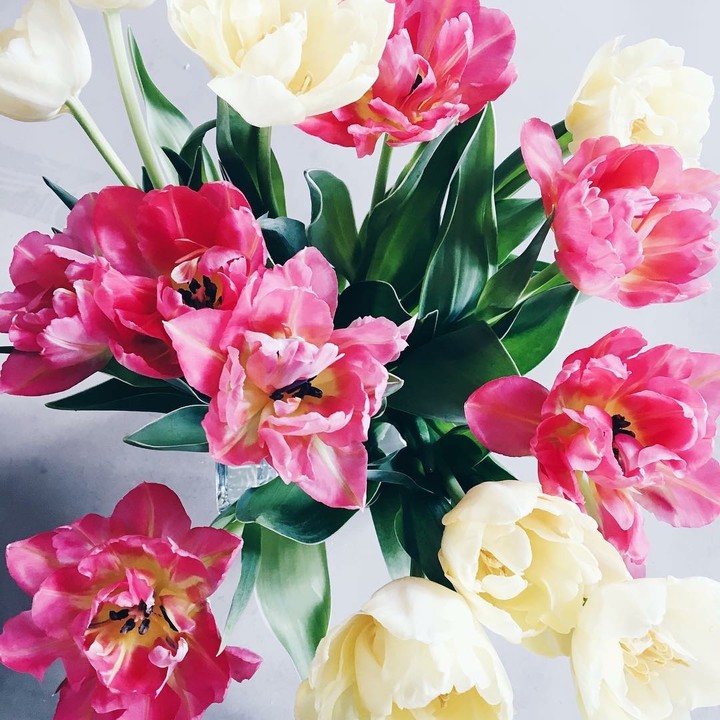Flowers..❤️