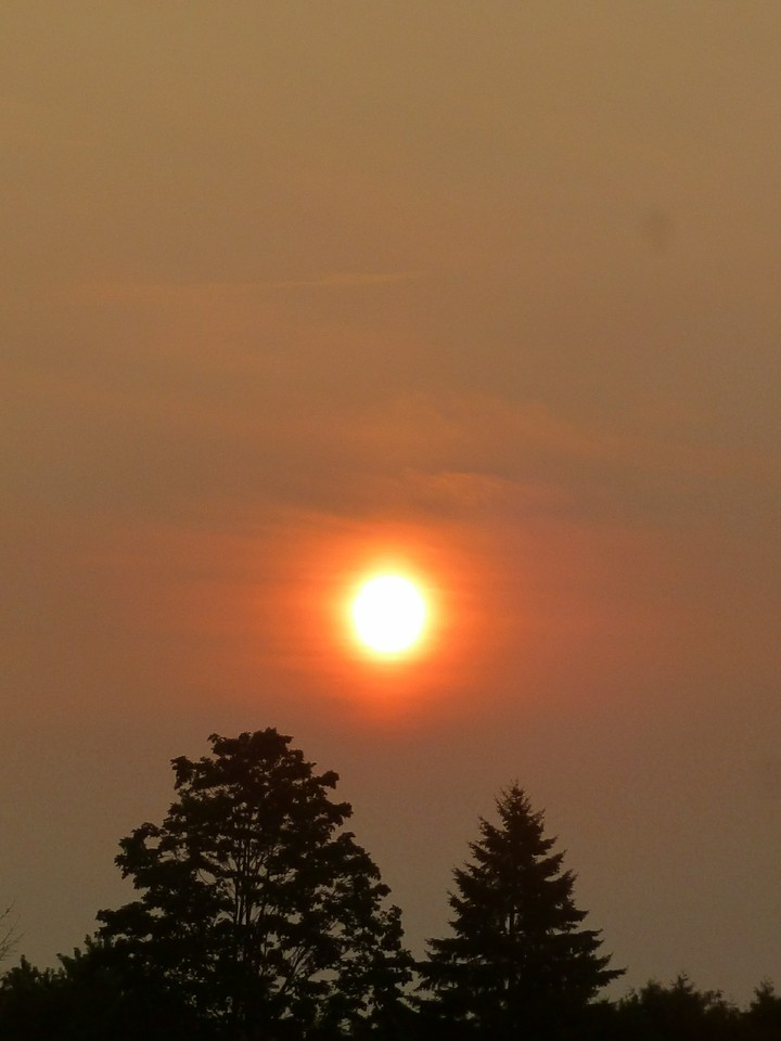 Summer sunrise