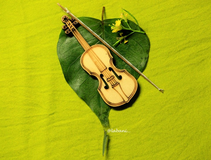 Violin
