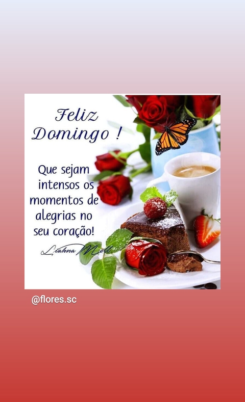 Boa tarde de domingo