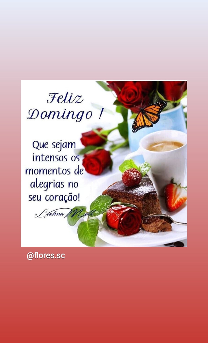 Boa tarde de domingo