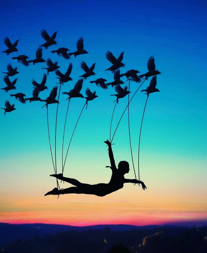 freedom
