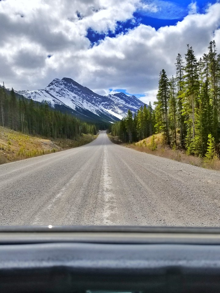 The road less travelled