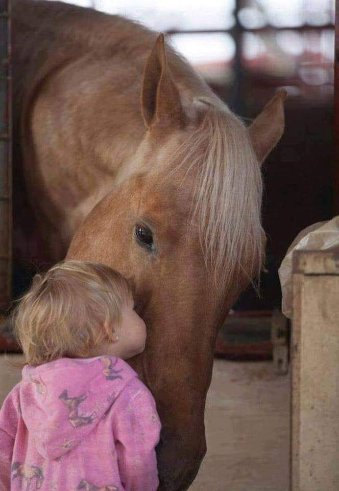 Petite fille embrassant un cheval