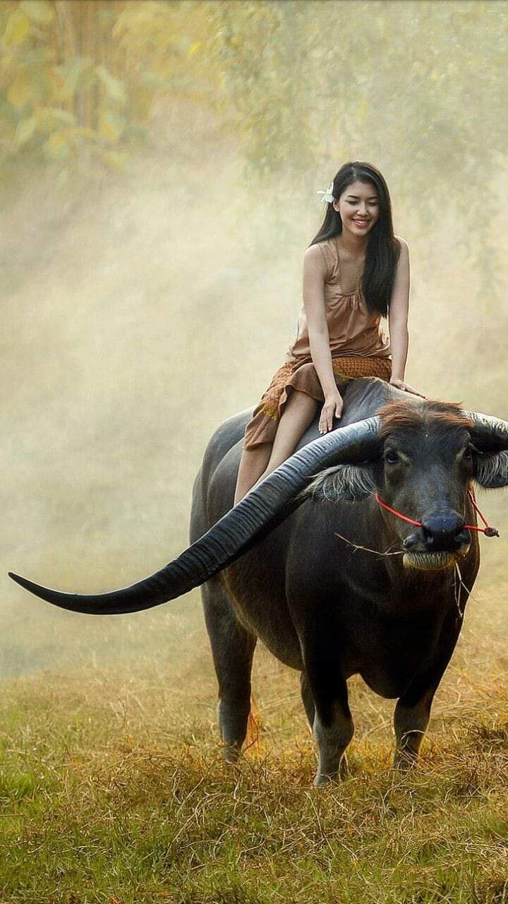 *