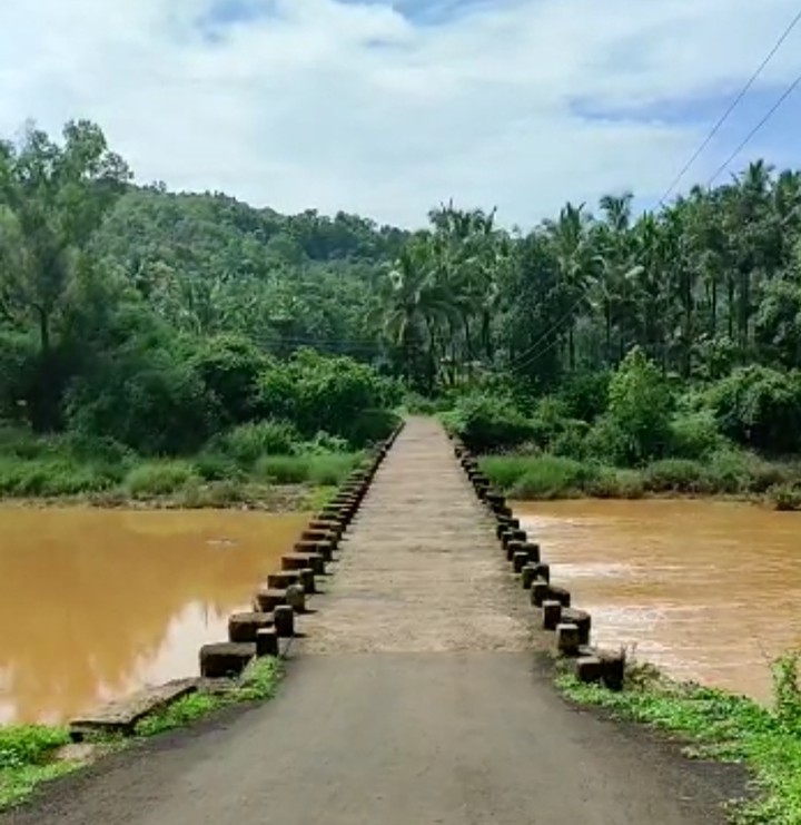 bridge