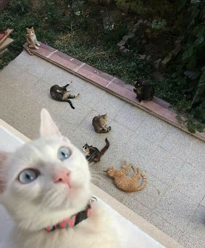 ❤