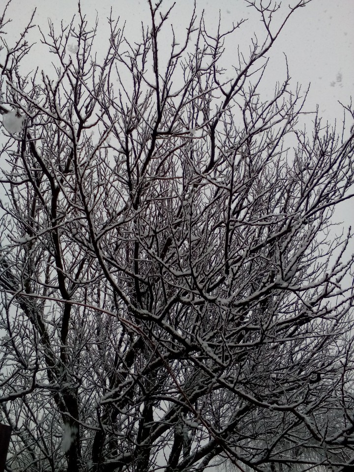 снег❄