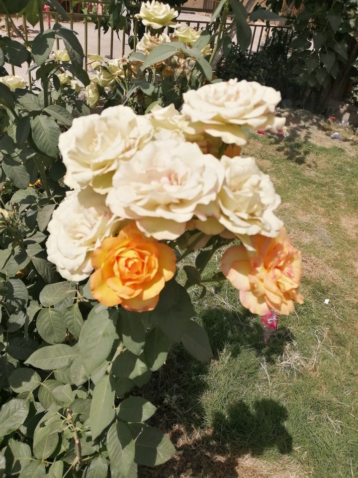 it