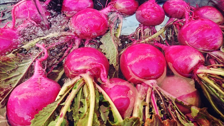 red turnip