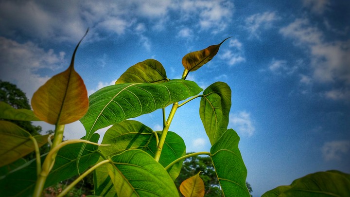 Today  Mobile click  
Samsung E7