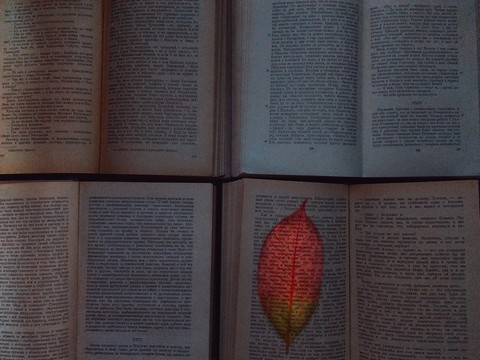 Book
