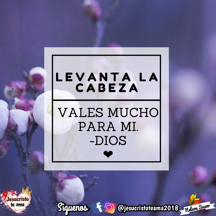Jesucristo te ama