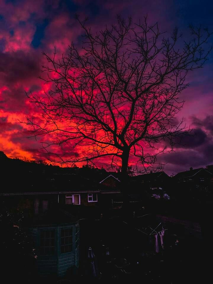 amazing pic?