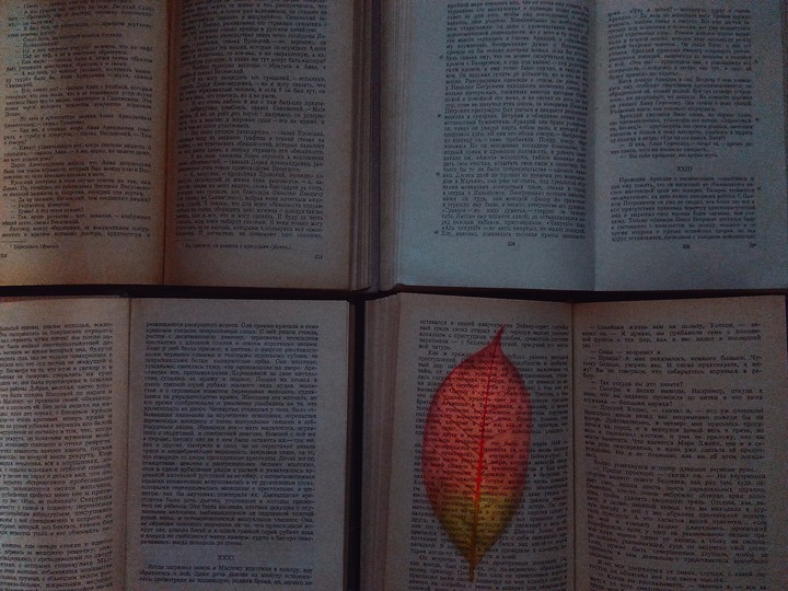 Book