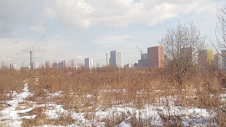 город