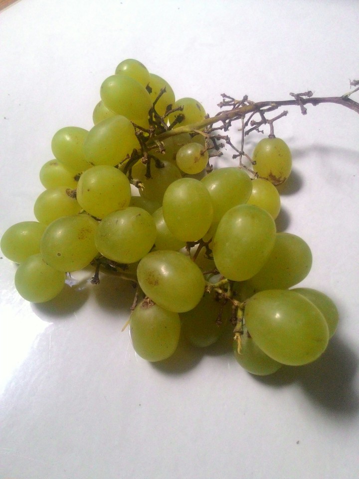 Oh grape!!