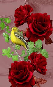 Pájaro posado sobre las ramas de las rosas
