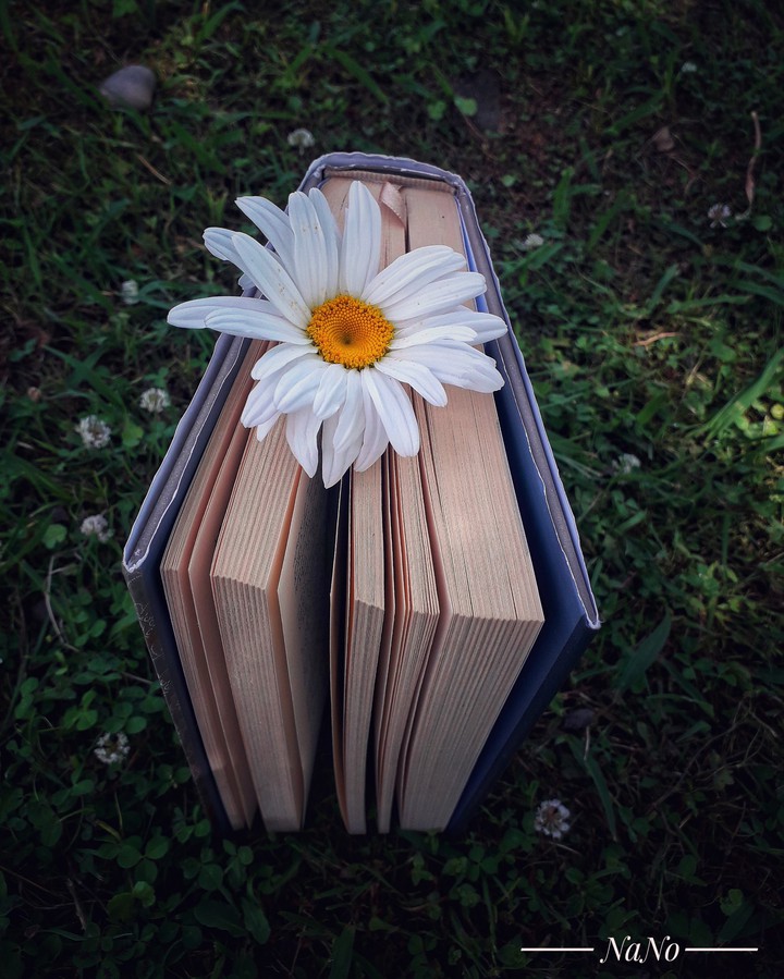 book