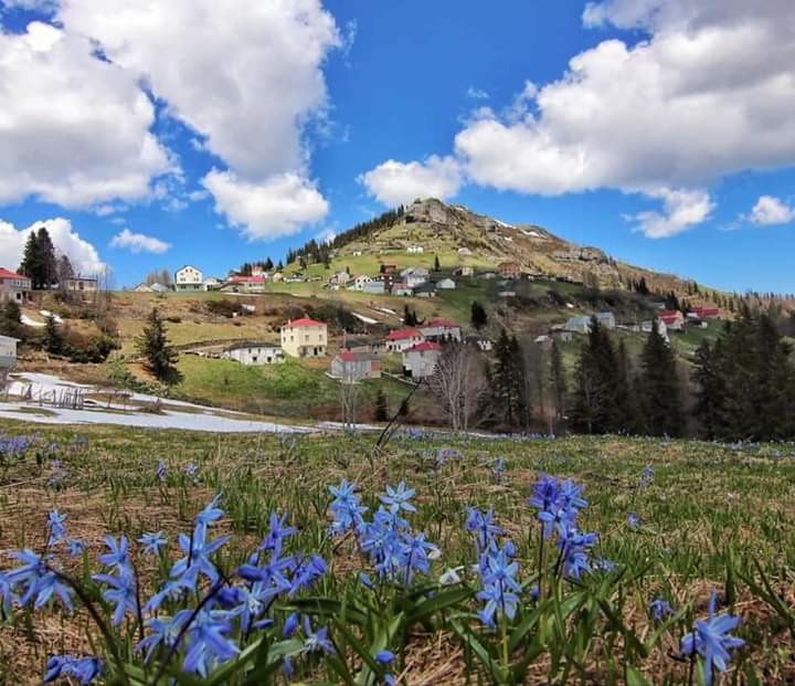 Turkey/ Giresun