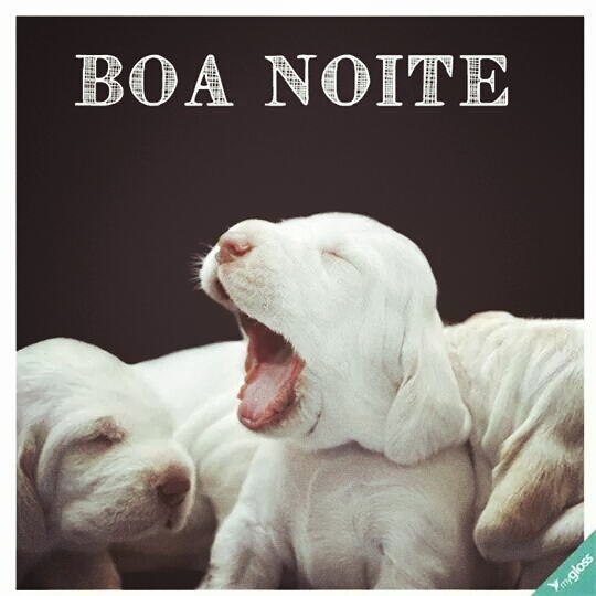noite feliz!