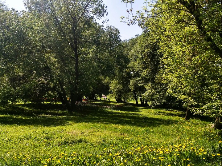 парк