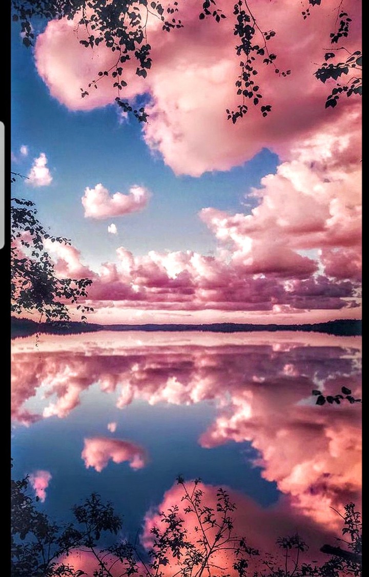 wow that's BEAUTIFUL!?