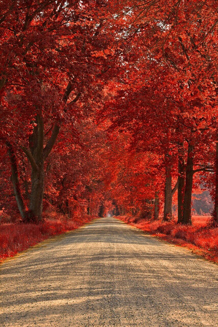 autumn