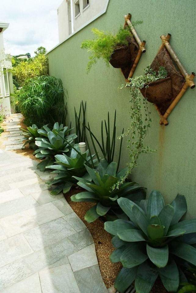 tudo de bom