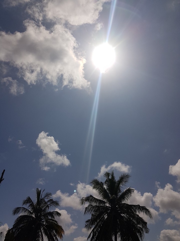 Daylight