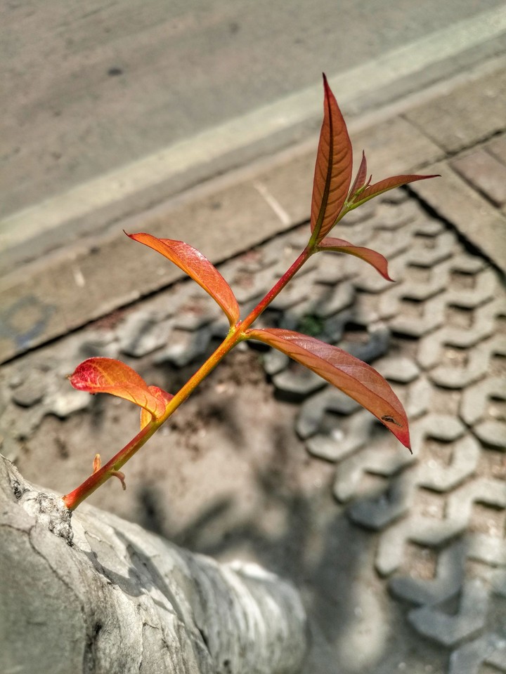 New Born