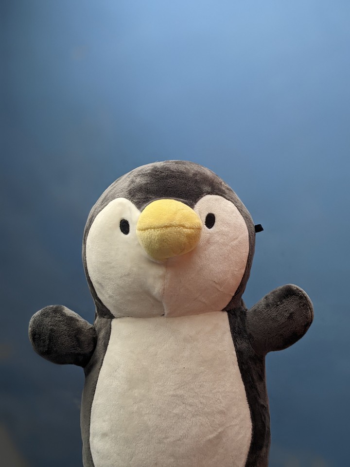 Penguin