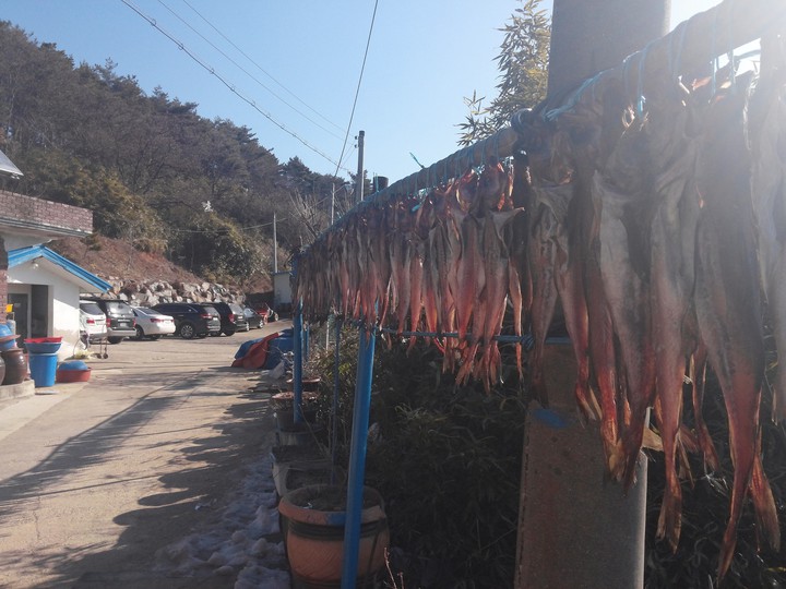 덕장