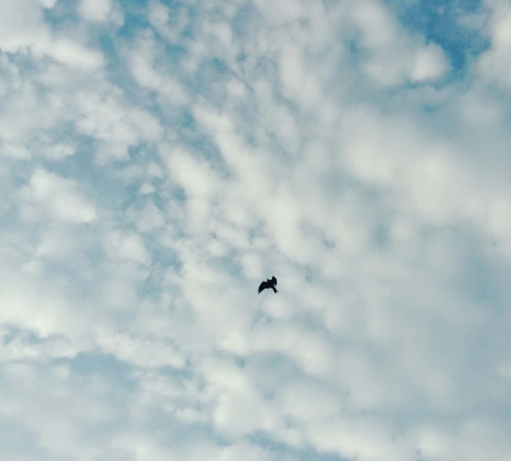Early Morning Beauty - Cloudy Sky