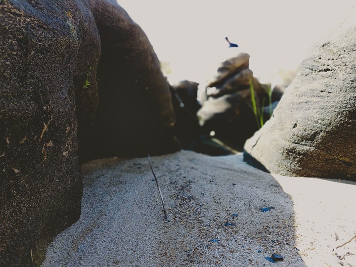 trip_00_graphy