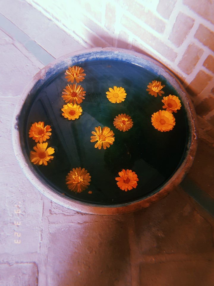 flowers