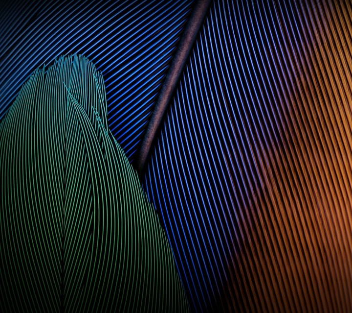Moto G5