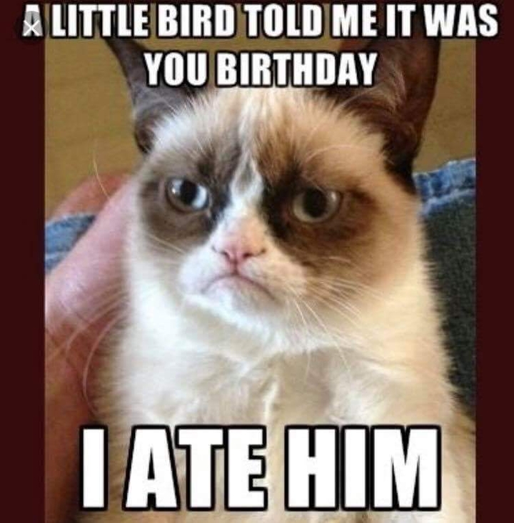 birdy