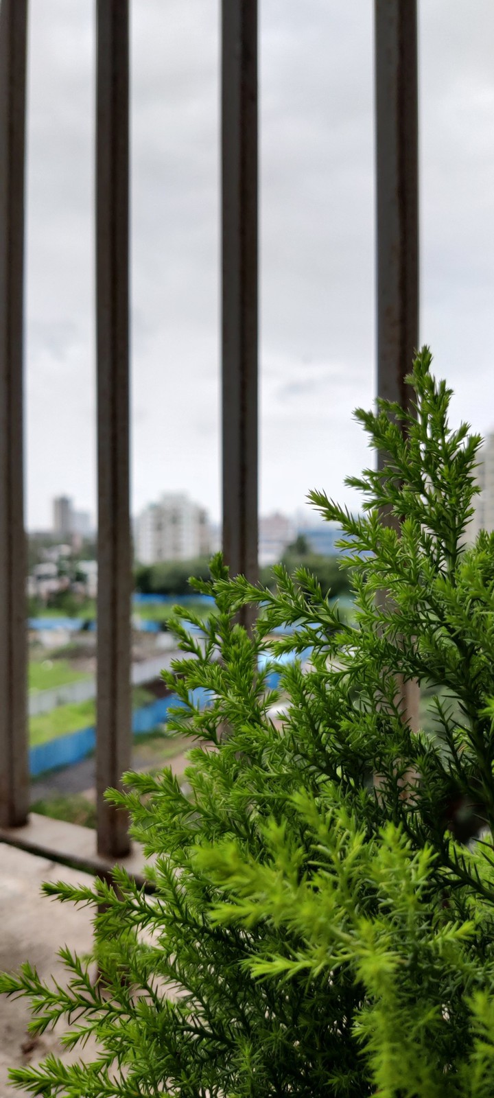 Greenery