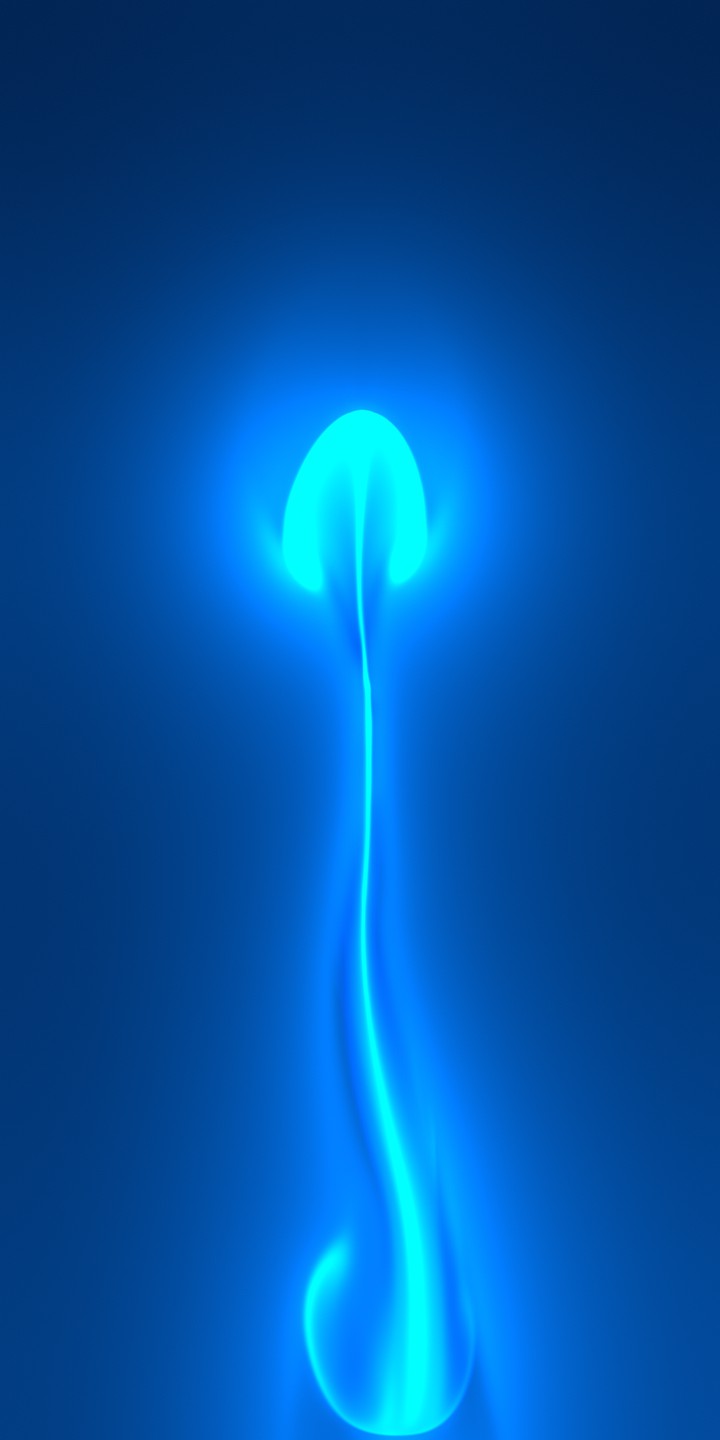 jellyfish sea