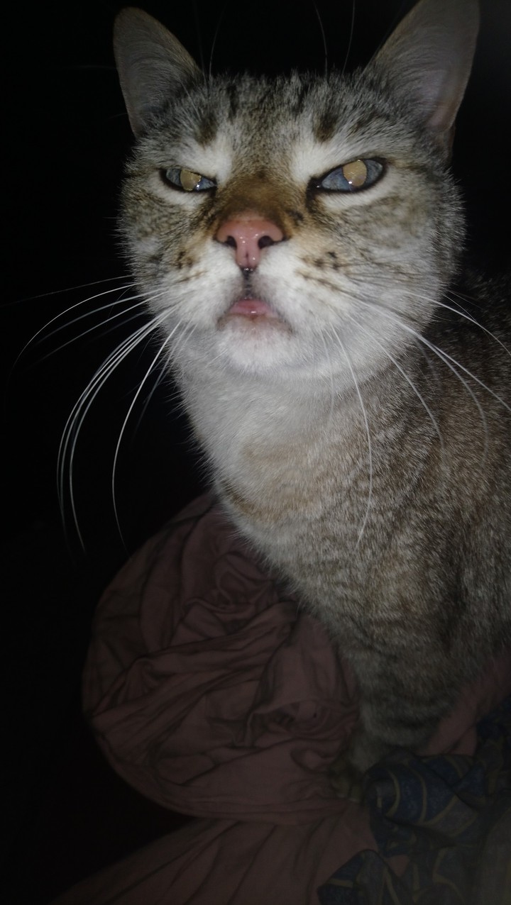 ma moumy