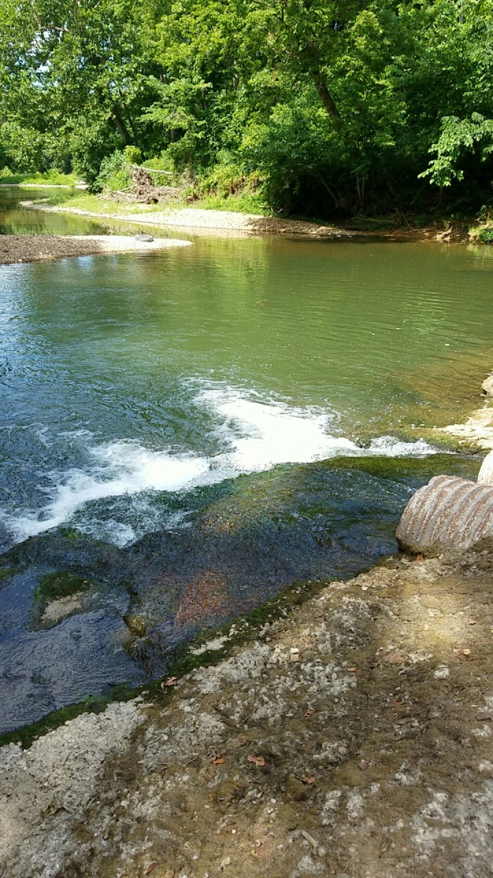 fishing