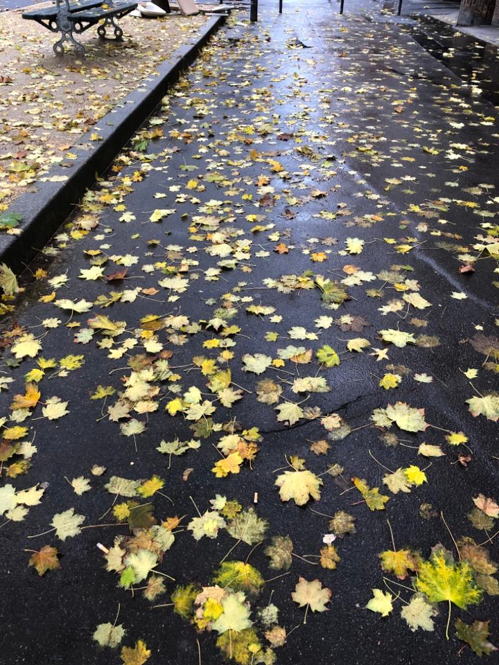 Leafy Road ?
